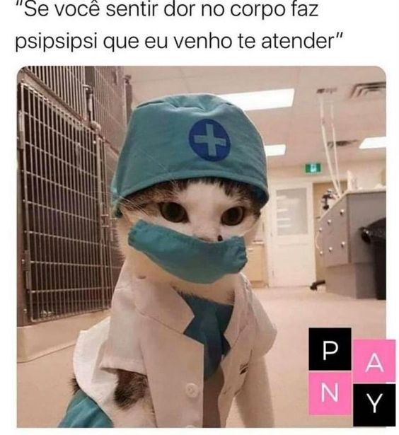 O médico é literalmente um gatinho!