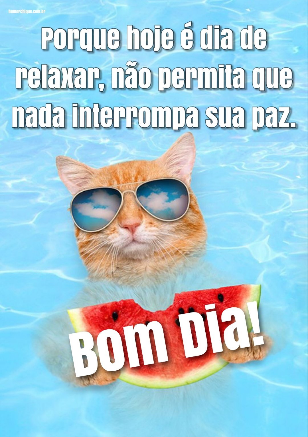 Bom dia! Que hoje nada interrompa sua paz de viver alegre