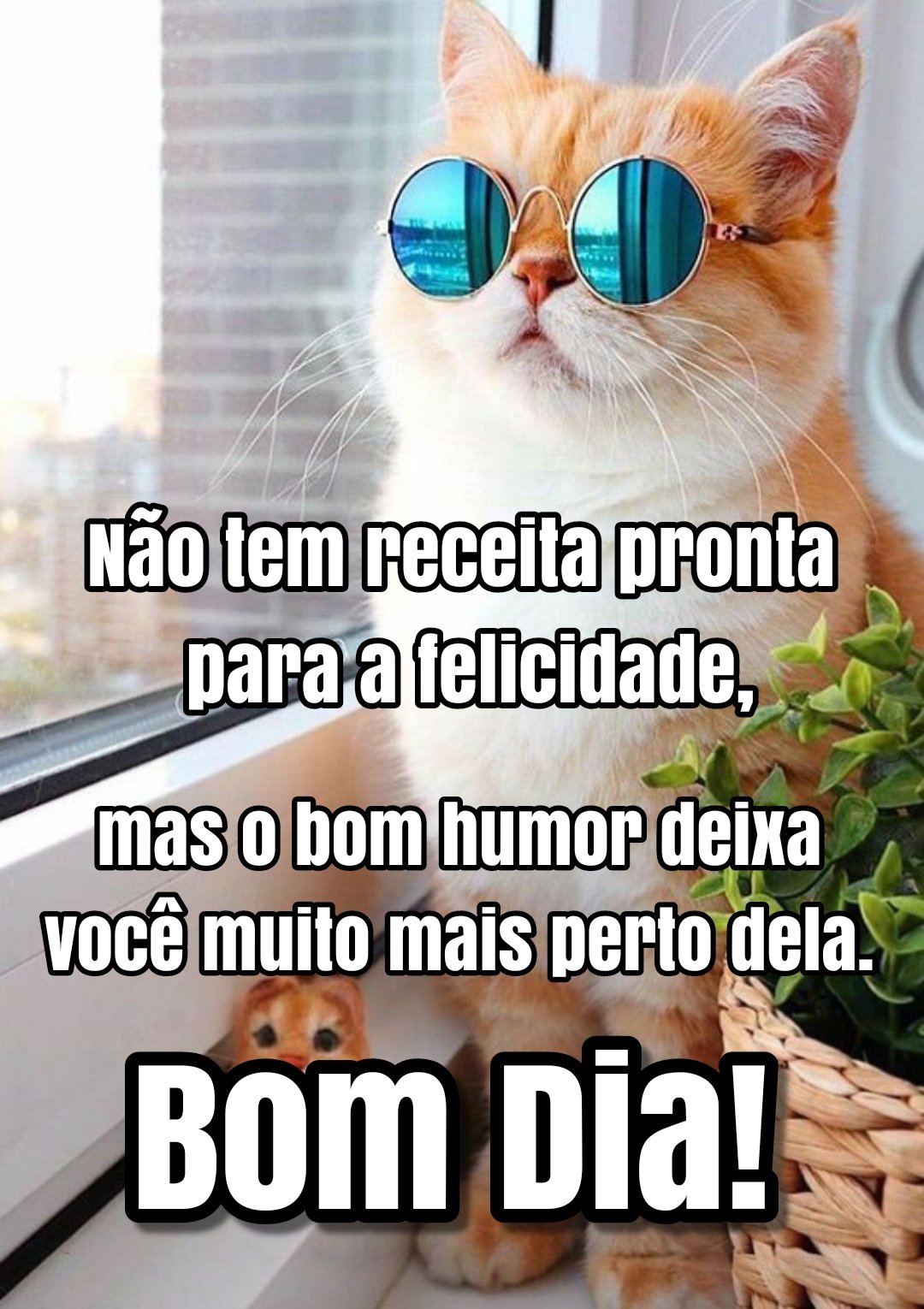 O bom humor deixa você mais perto da felicidade