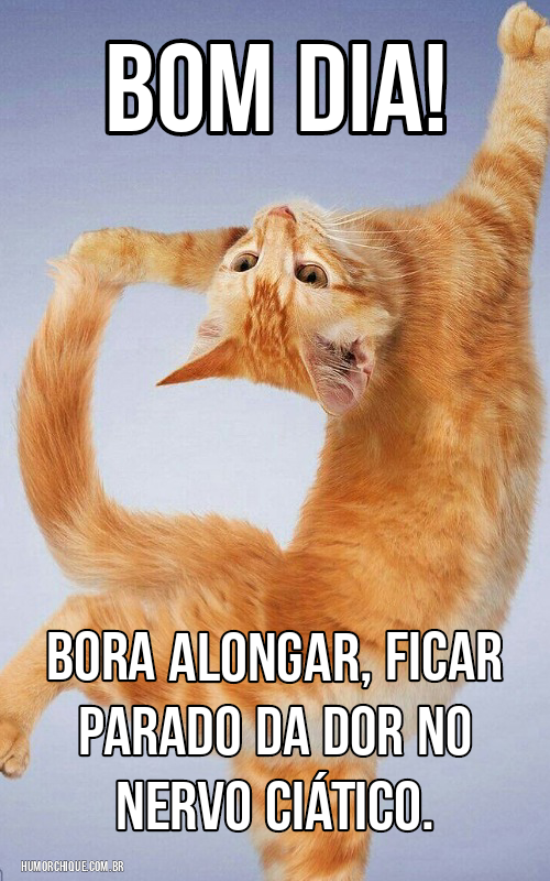 Bom dia! Vamos alongar para não sentir dor