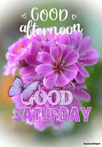 Good afternoon happy Saturday images with gif for a good blessed weekend