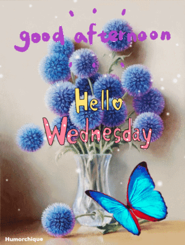 Gif with images of Good afternoon, wonderful Wednesday with peace