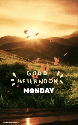 Good afternoon Monday with gif