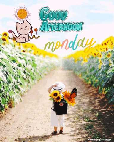 Good afternoon Monday gif images to share and interact wishing you a blessed afternoon