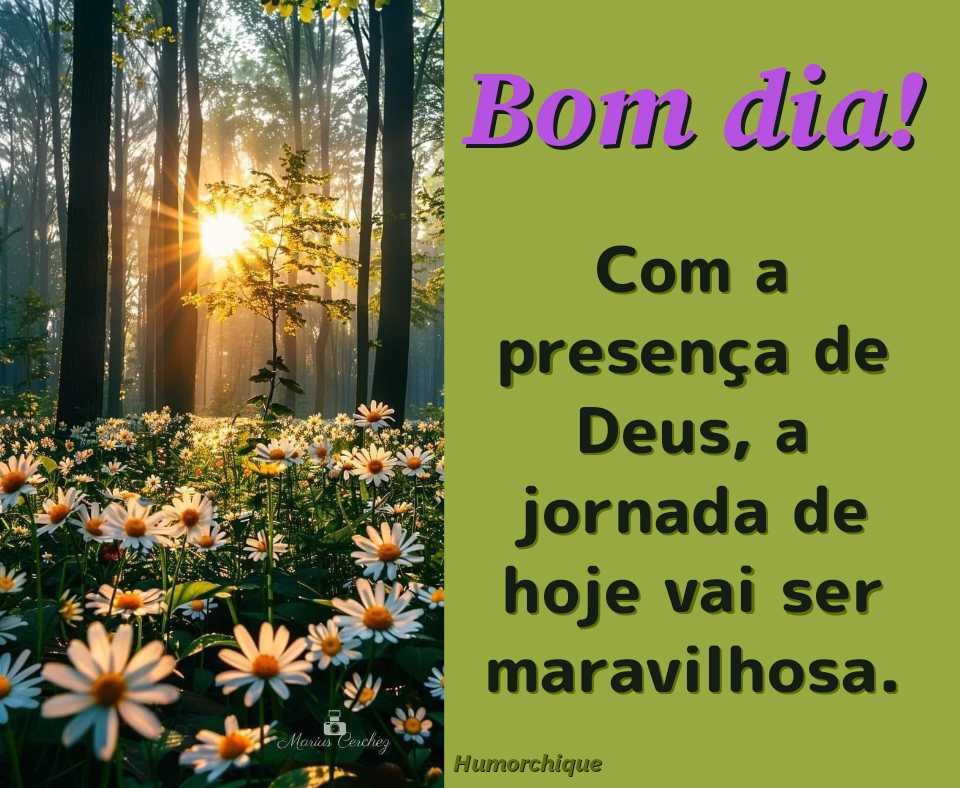 40 imagens de Bom dia com Frases Bonitas Grátis para Baixar e Compartilhar na hora do Café da Manhã