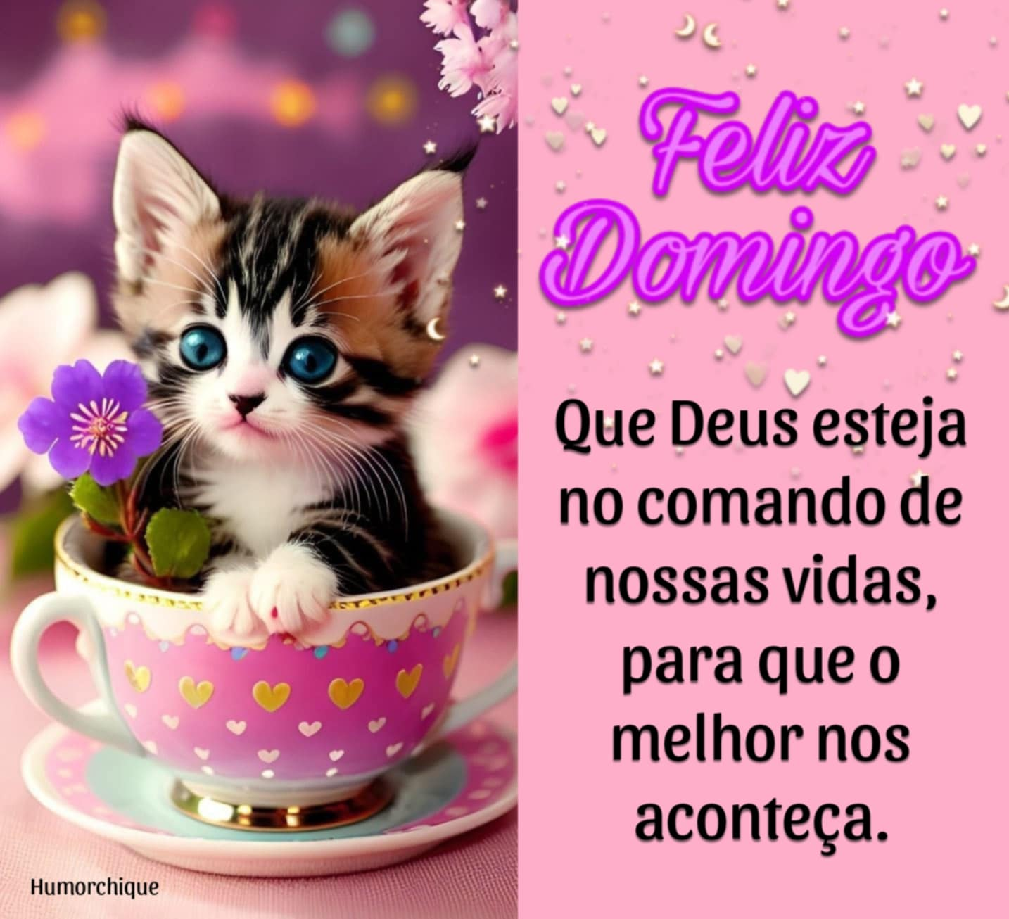 38 Imagens Gratuitas com Frases de Feliz Domingo para Baixar e Compartilhar